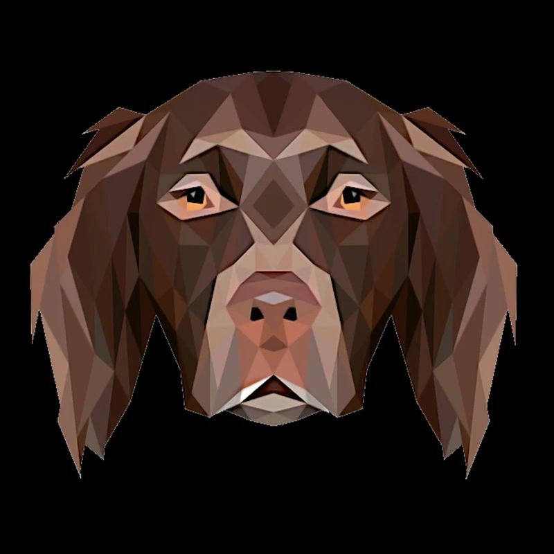 Petit Münsterländer