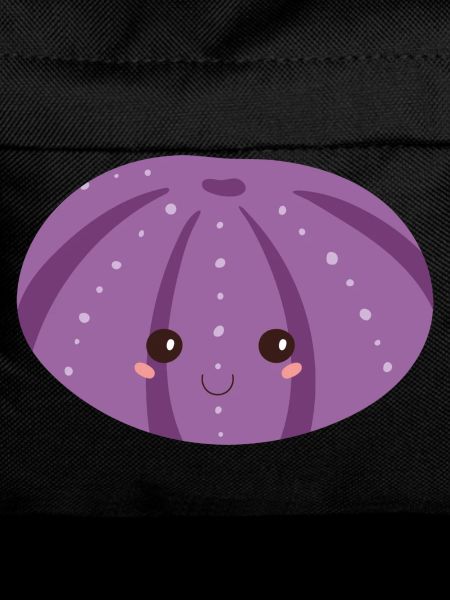 sea urchin