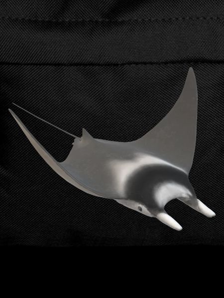 3d Stachelrochen
