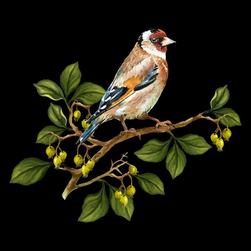 Goldfinch bird