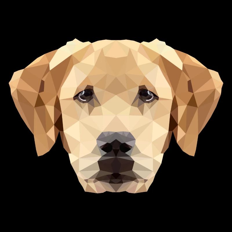 Hund Labrador Polygon