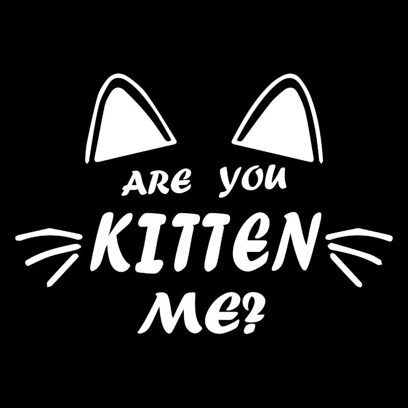 Cat, Katze, Animal, pet, Haustier