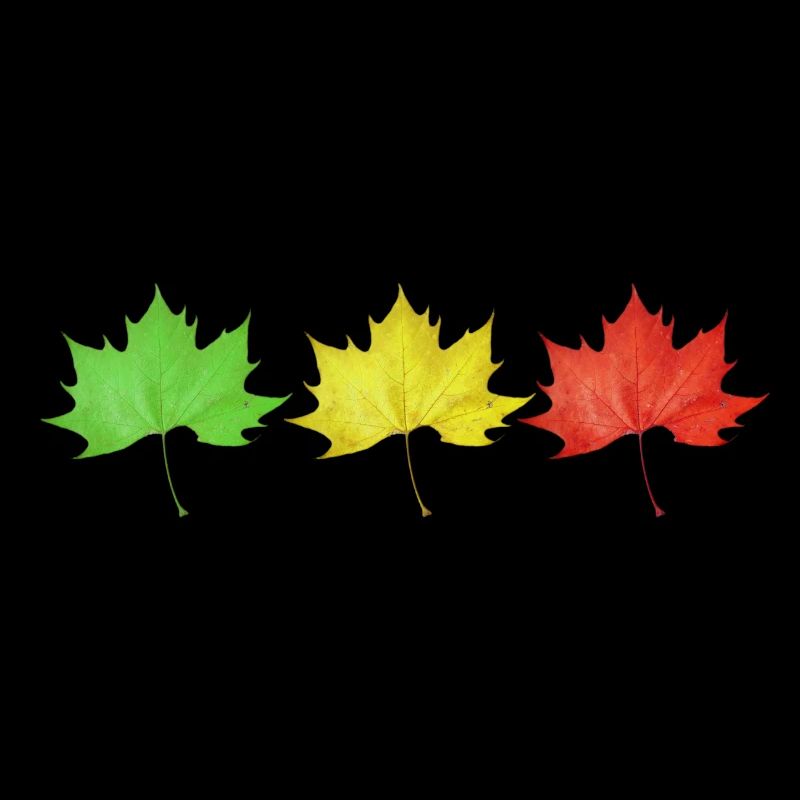 Green, yellow and red colored leaves