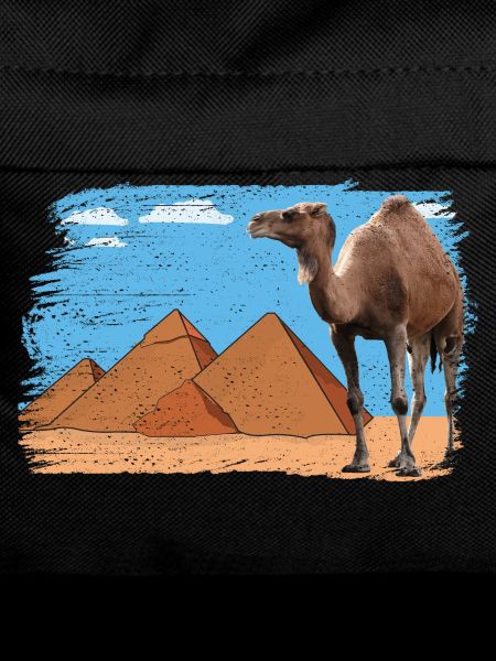 Kamel vor Pyramiden