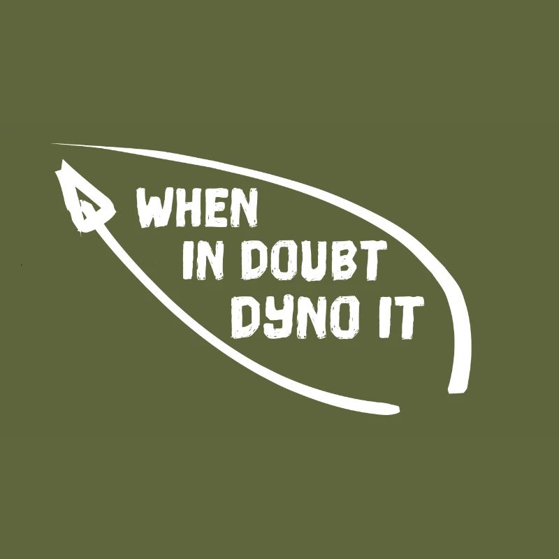 WHEN IN DOUBT DYNO IT Klettern bouldern Kletterer