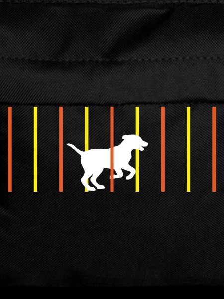 Dog Slalom Agility