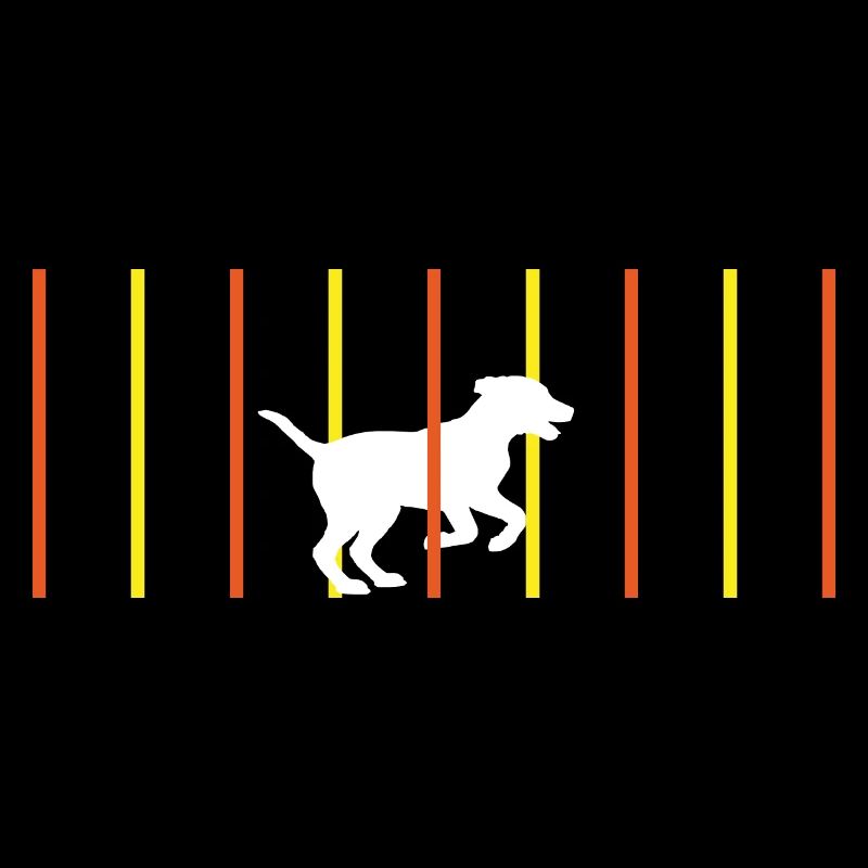 Hund Slalom Agility