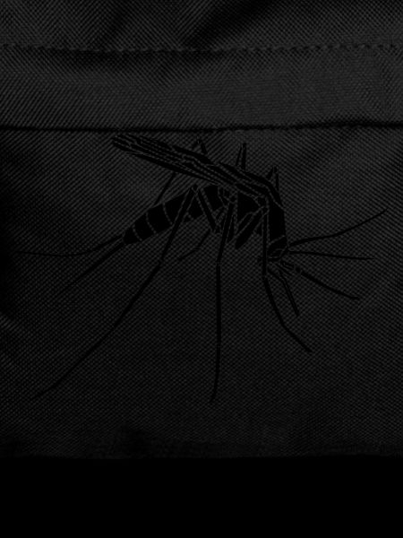 Mücke / Mosquito