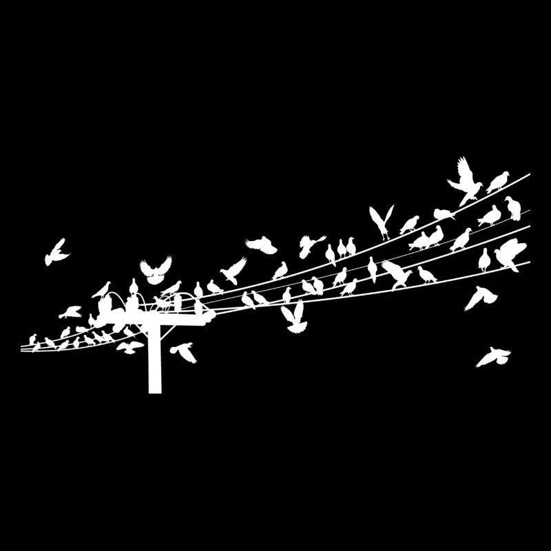 Oiseau Bird Watching Oiseaux Nature Cadeau