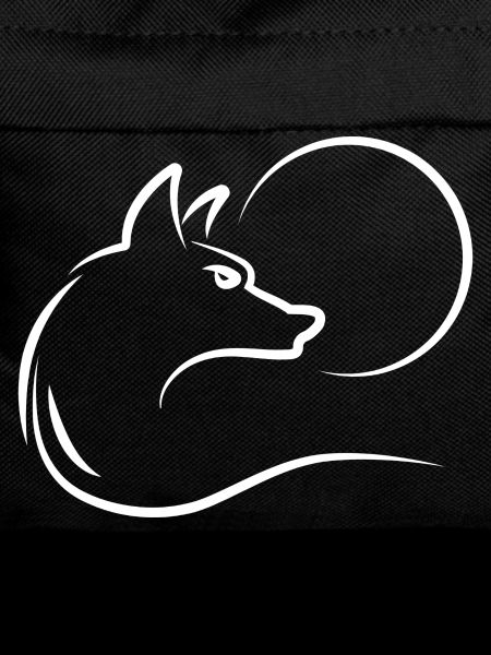 Wolf at full moon
