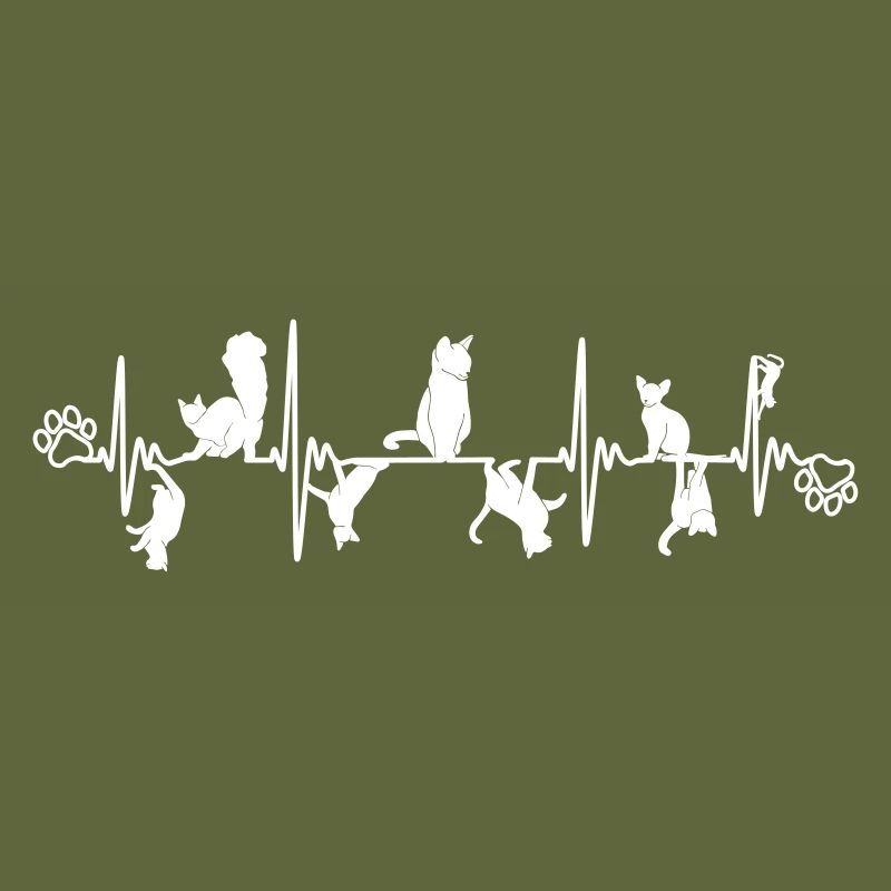 Chat beau chat rythme cardiaque cardiaque conception