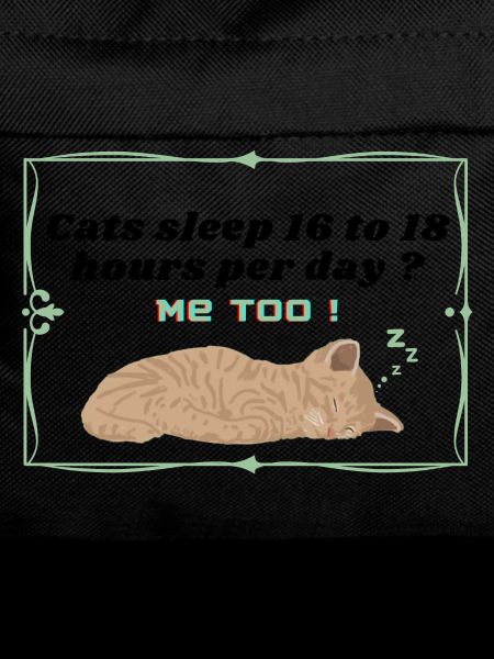 cats sleep
