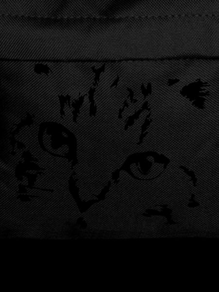 Cat Cats Cat Face Kitten