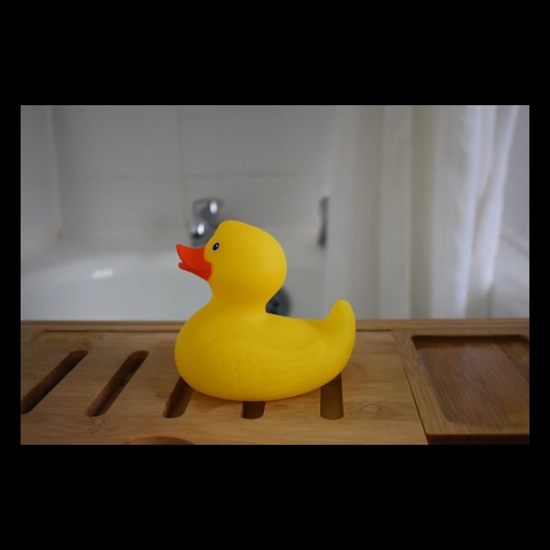 Rubber ducky