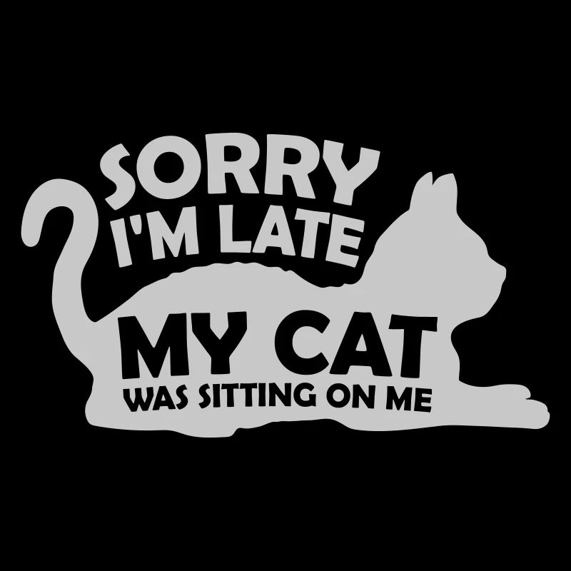 désolé chat était assis