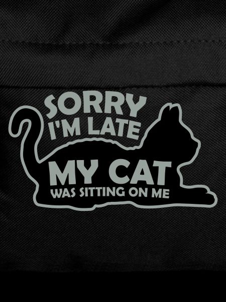 sorry cat was sitting