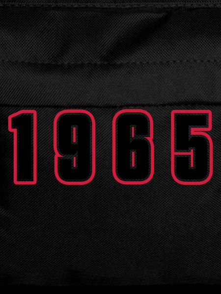 1965 Year Number