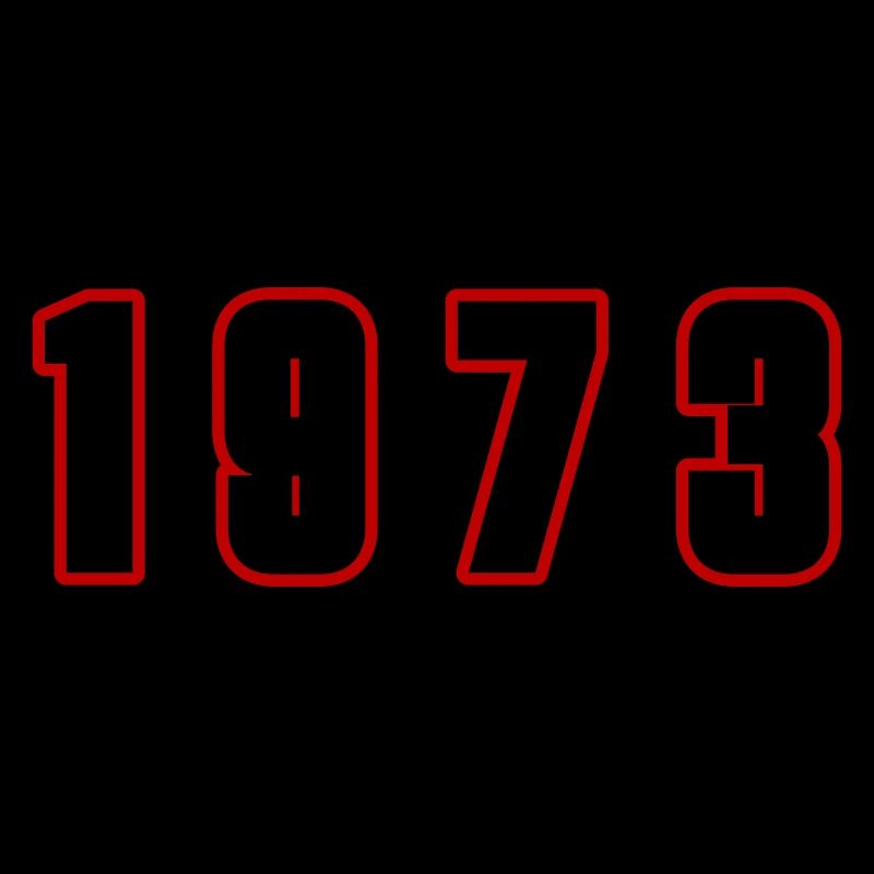 1973 Year Number
