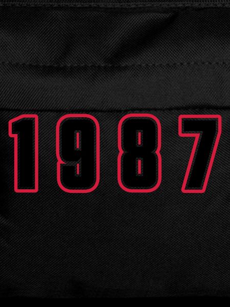 1987 Year Number