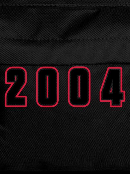 2004 Year Number