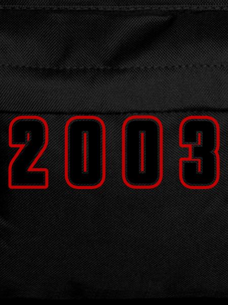 2003 Year Number