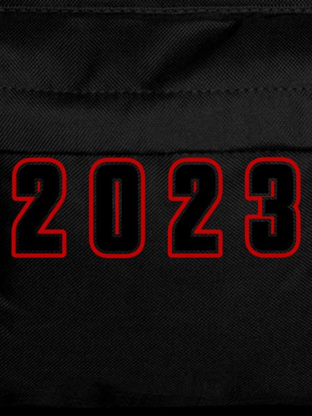 2023 year number