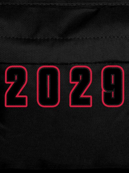 2029 year number