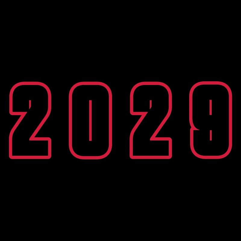 2029 year number