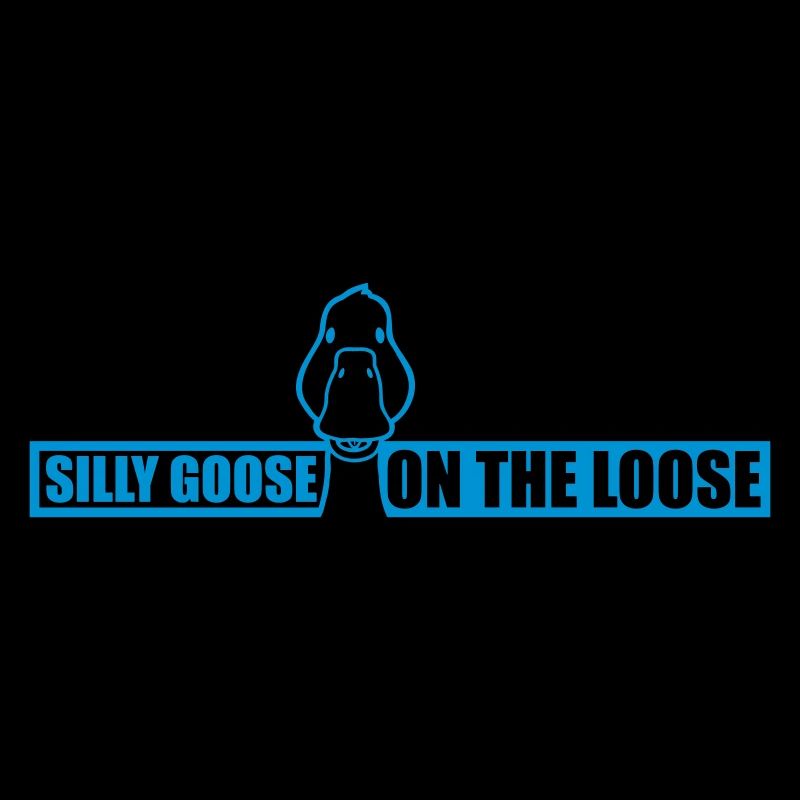 goose on the loose