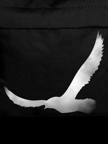 Bird silhouette from cloud