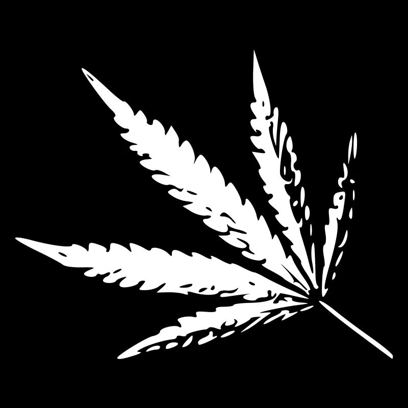 Cannabis - Image