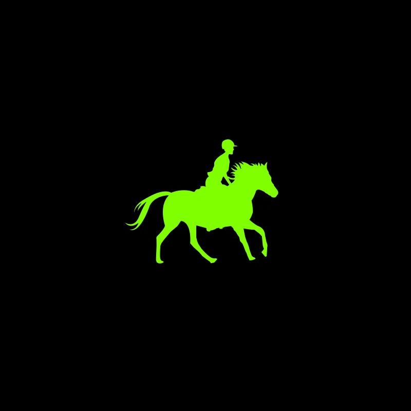 Reiten