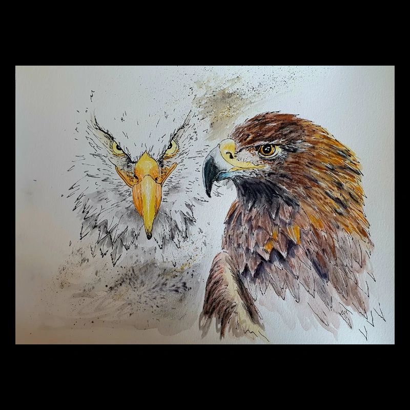 Adler
