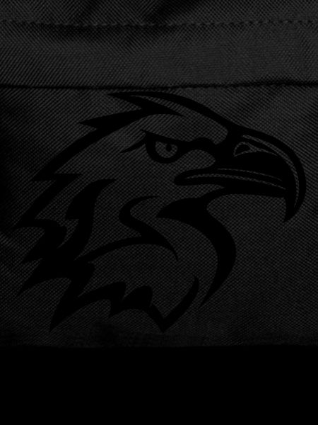 stylized eagle head in profile