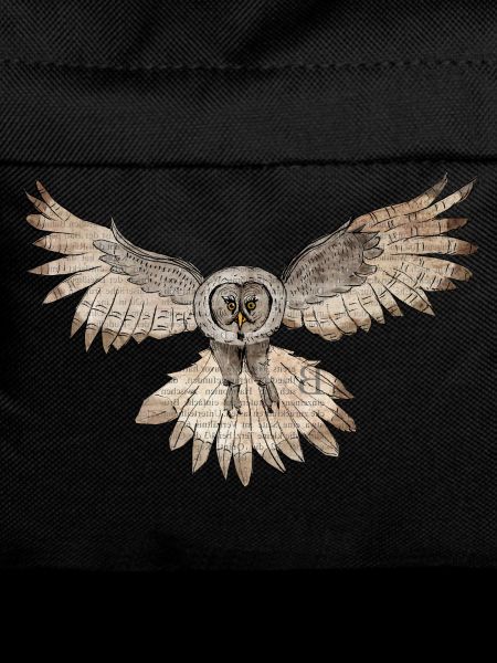 Wise Bearded Owl