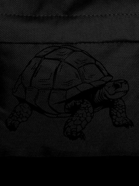 Tortoise