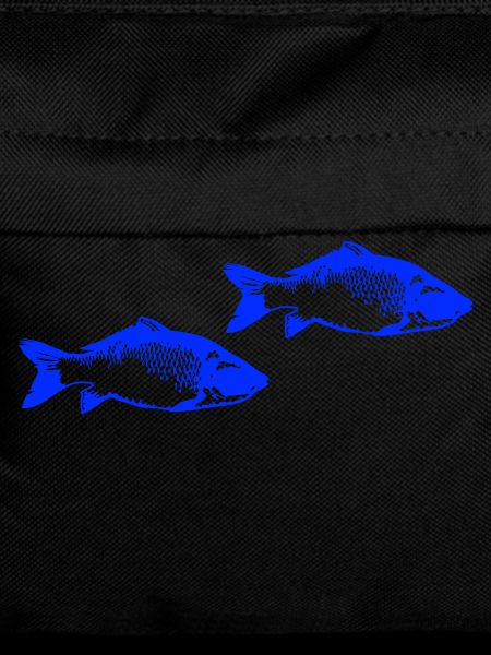Pisces