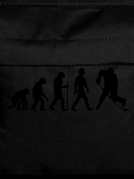 hockey evolution