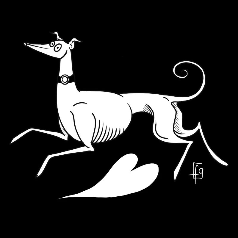 Lévrier whippet