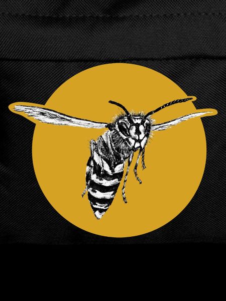 Wasp - Bee - Insect