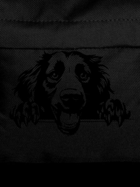 Faithful Retriever