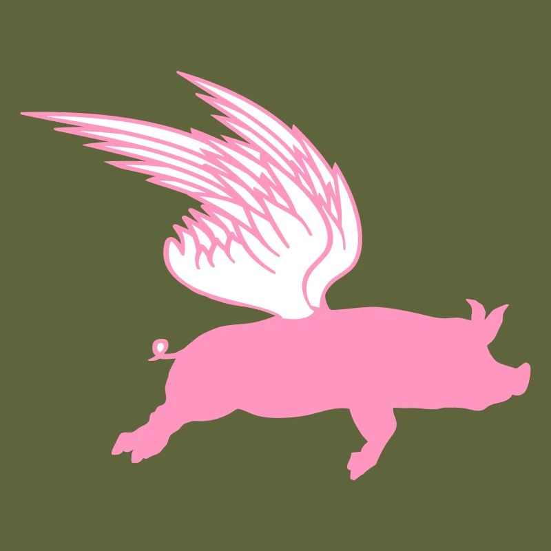 When Flying Wings Flying Pigs Can Fly