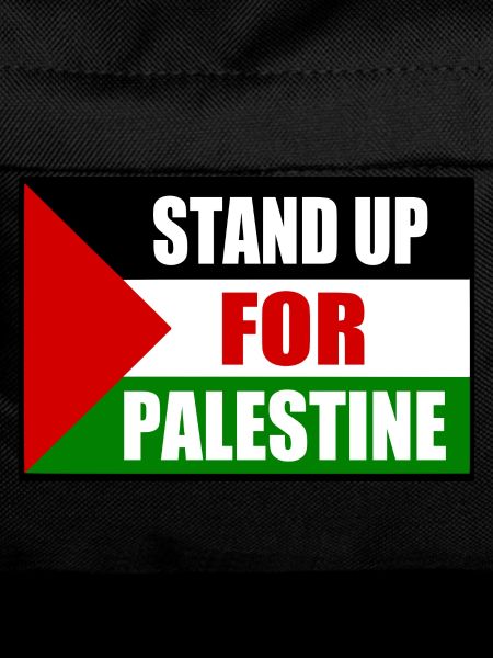 stand up for palestine