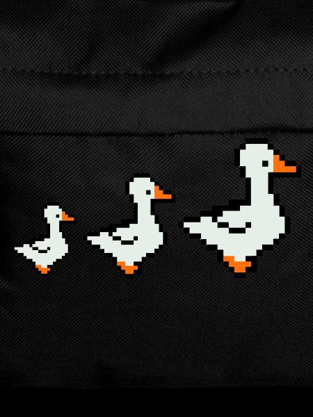 pixel enten