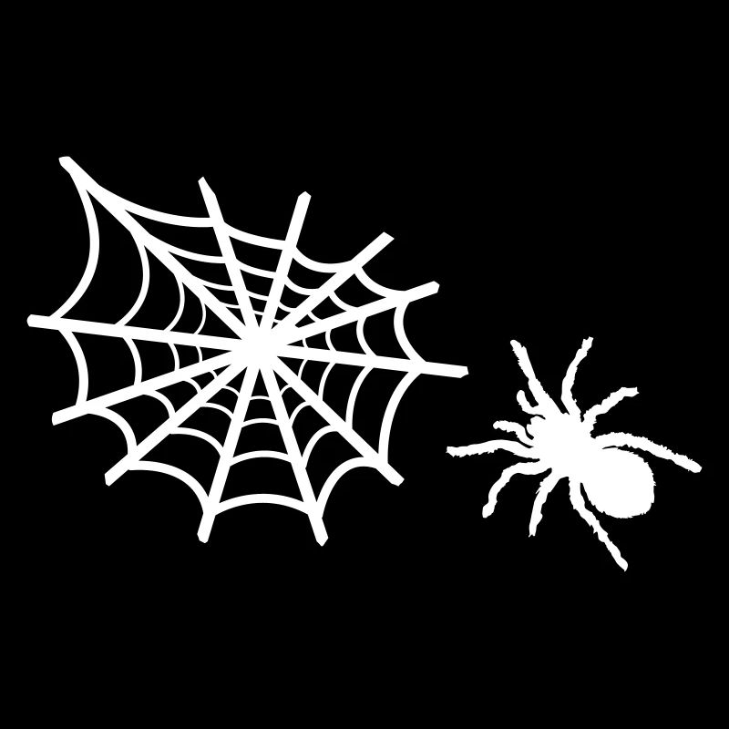 spinne spinnennetz