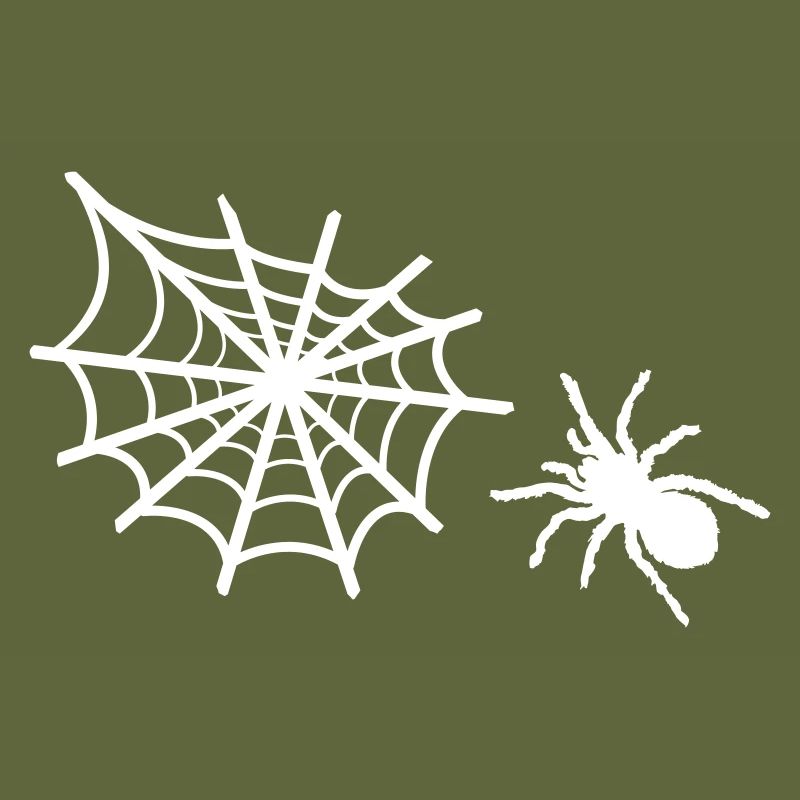 spider spider web