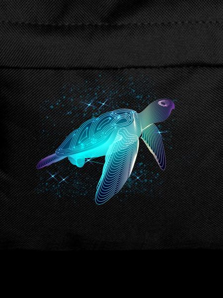 Turtle with stars