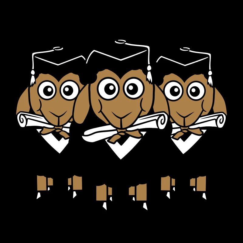 3 Sheep Certificate College Abi Three Students Team