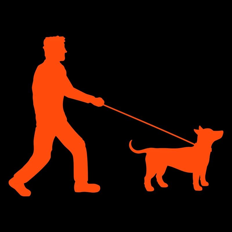 Dog Man Walking Walking Leash Master