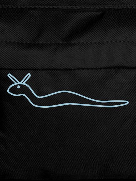 Worm